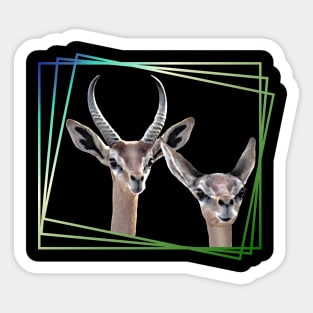 Gerenuk - Gazelle in Kenya / Africa Sticker